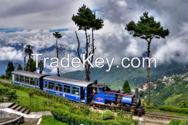 North east India Honeymoon Package