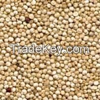 High Quality Quinoa Seeds