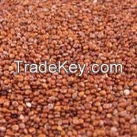 High Quality Red Quinoa Seeds