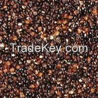 High Quality Black Quinoa Seeds