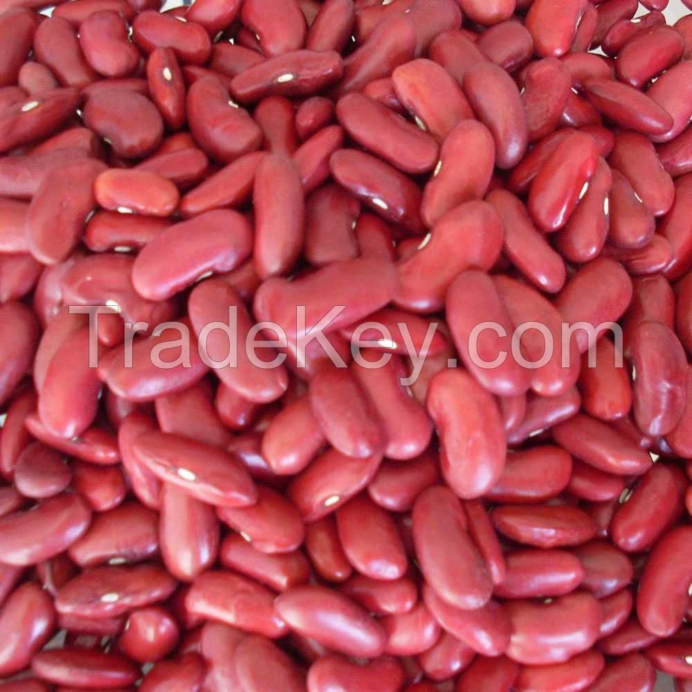 legumes or pulse or beans