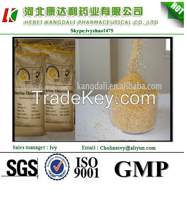 99% high quality raw powder Choline chloride