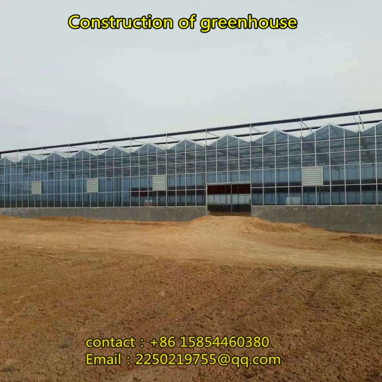 Construction of intelligent temperature control greenhouse