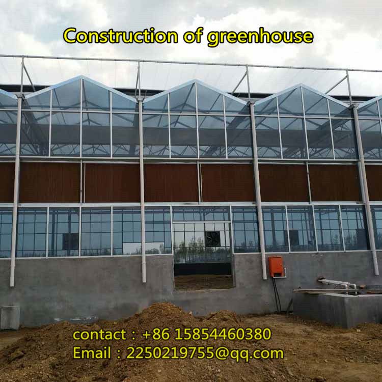 Construction of intelligent temperature control greenhouse