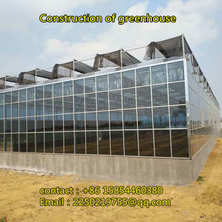 Construction of flower cultivation greenhouse