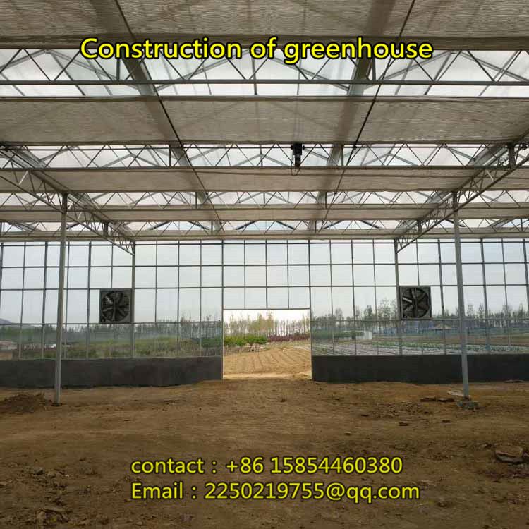 Construction of large steel structure glass greenhouse