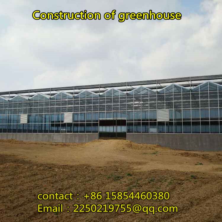 Construction of large eco-restaurant