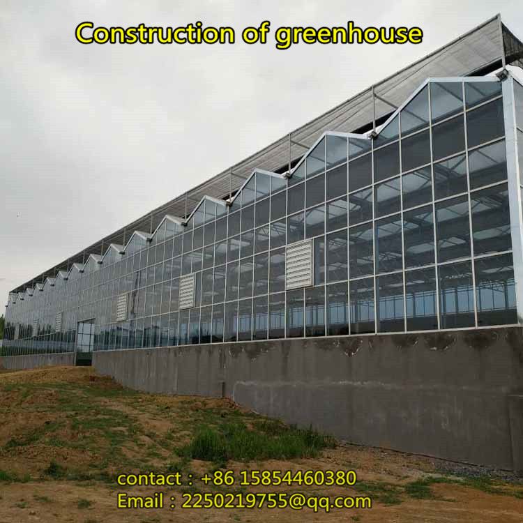Construction of large eco-restaurant