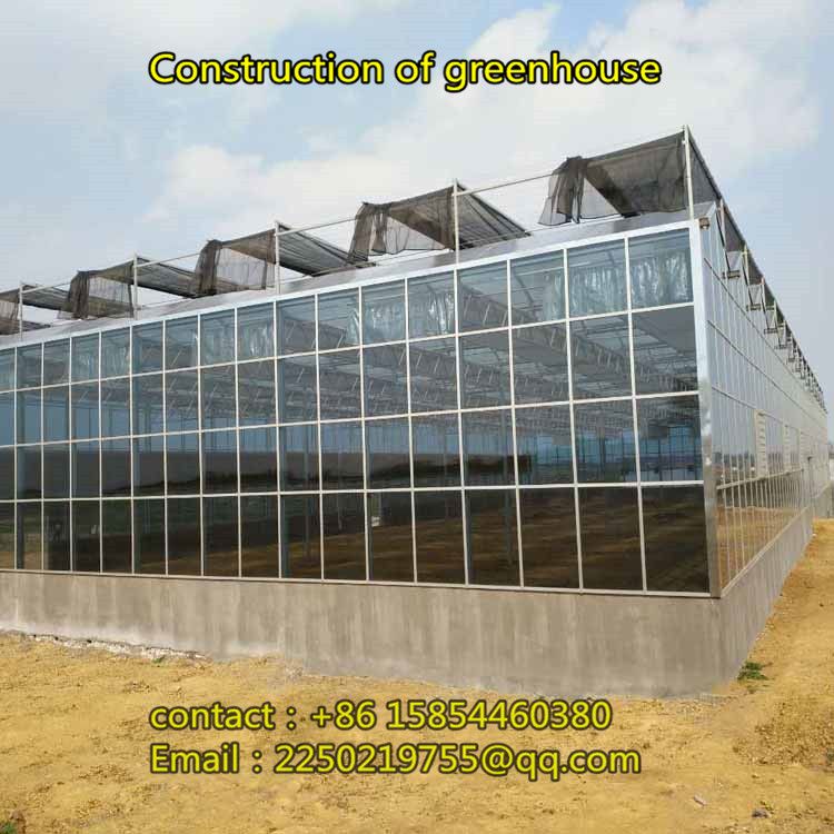 Construction of large eco-restaurant