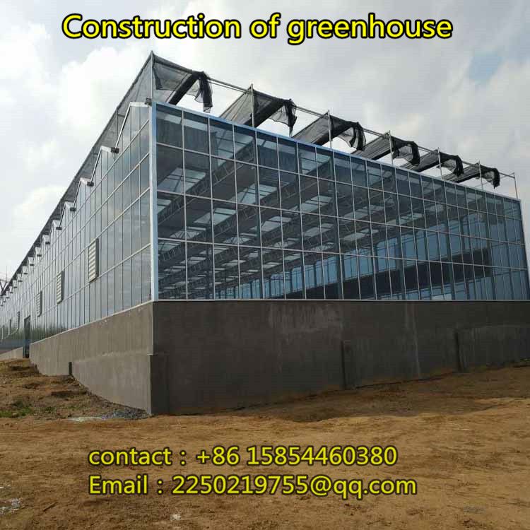 Construction of large single greenhouse