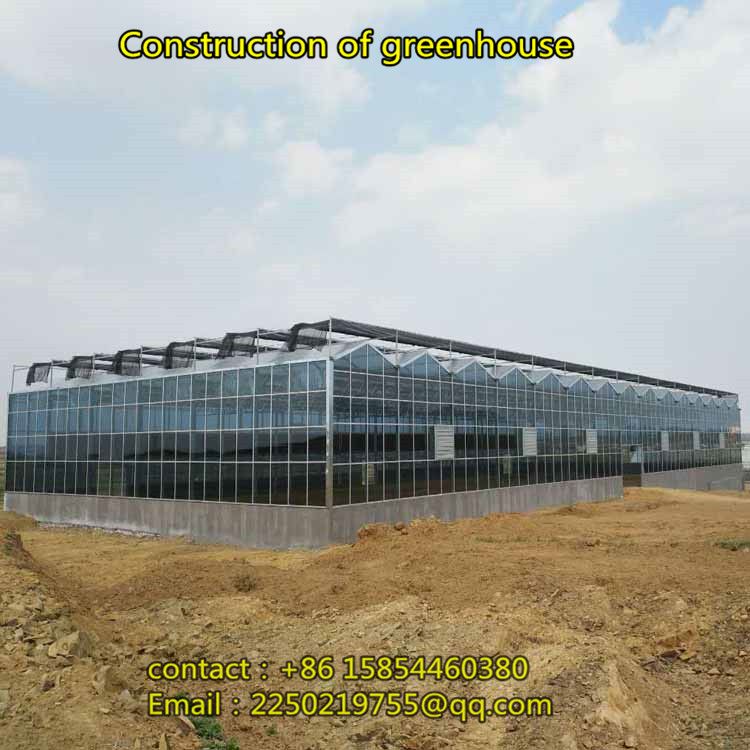 Construction of fruit cultivation greenhouse