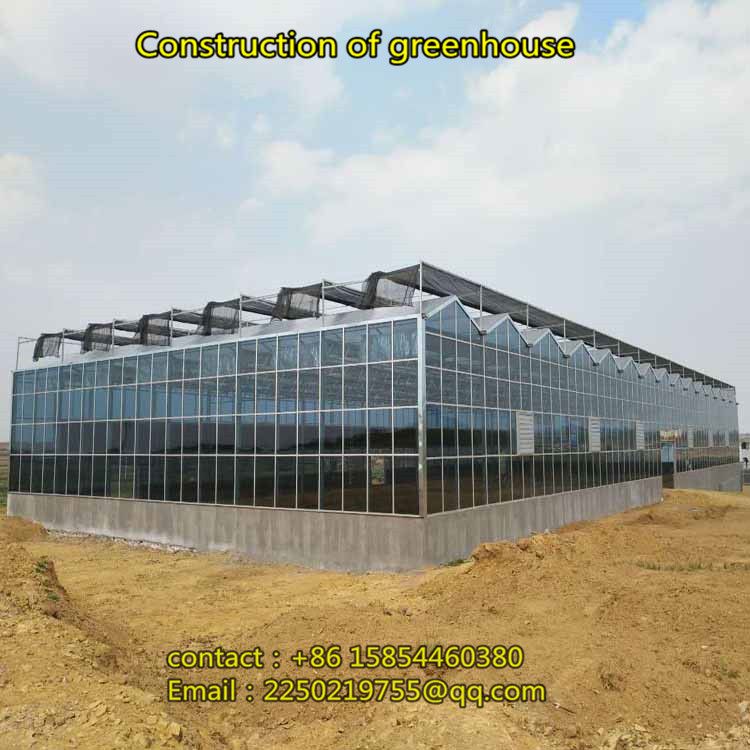 Construction of fruit cultivation greenhouse