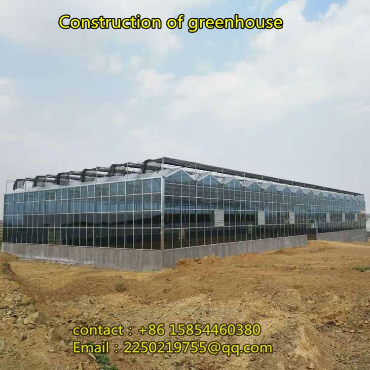 Building intelligent temperature control greenhouse