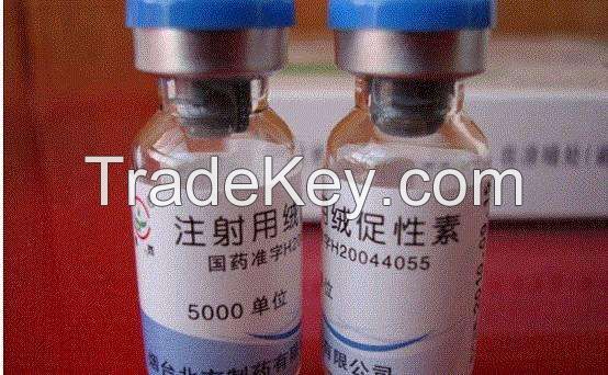 HCG Human Chorionic Gonadotropin, HCG,HMG