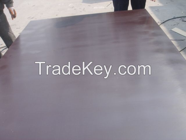 Plain Film Faced Plywood construction plywood Reusable high quality plywood supplier