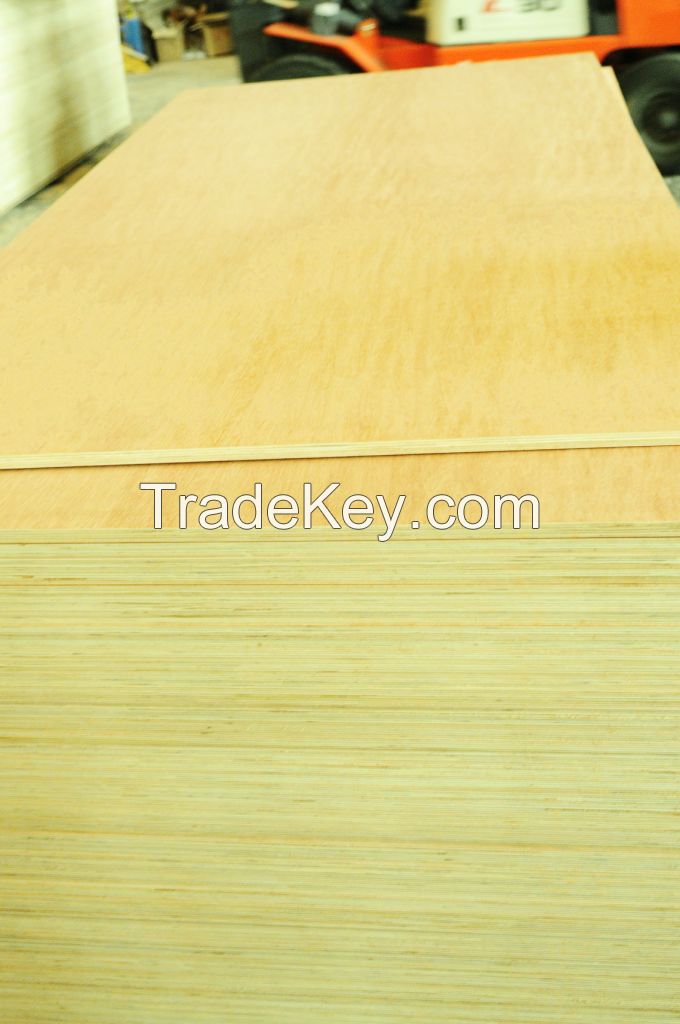 hot selling commercial Plywood distributor manufacturer plywood cheap and practical China plywood