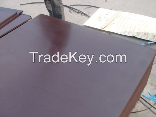 Plain Film Faced Plywood construction plywood Reusable high quality plywood supplier