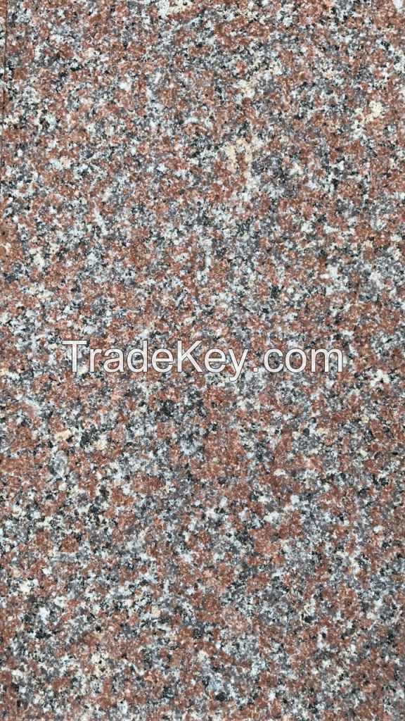 G696 chinese new red granite from Xiamen Dingzuan Trading Co.,LtD