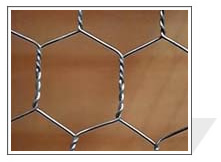 Hexagonal wire mesh