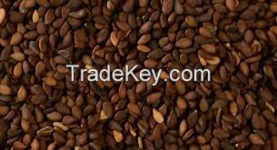 brown sesame seeds