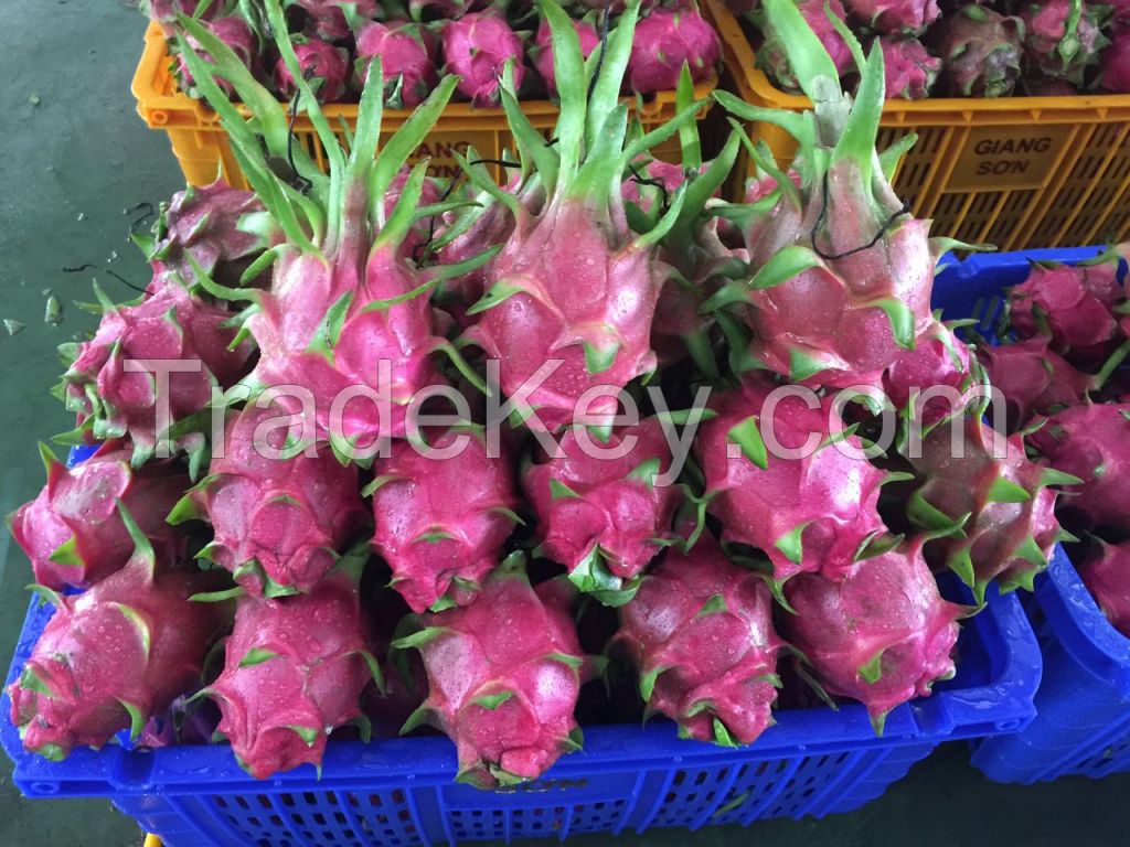 White Flesh Dragon Fruit