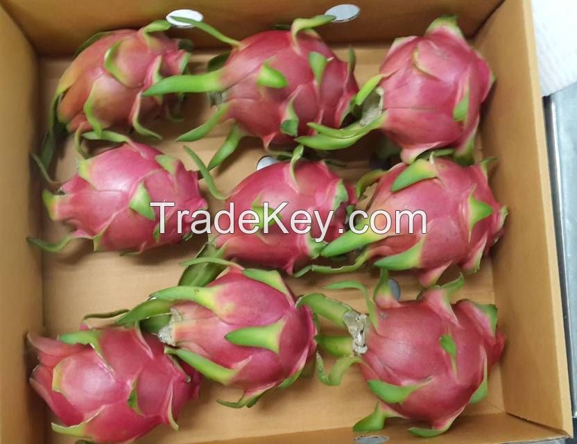 Fresh Dragon Fruit