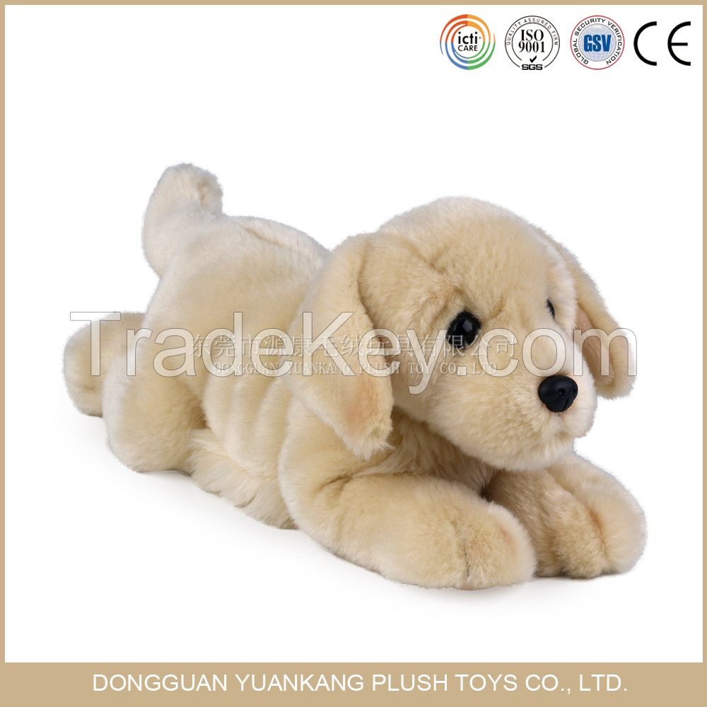 Plush Dogs