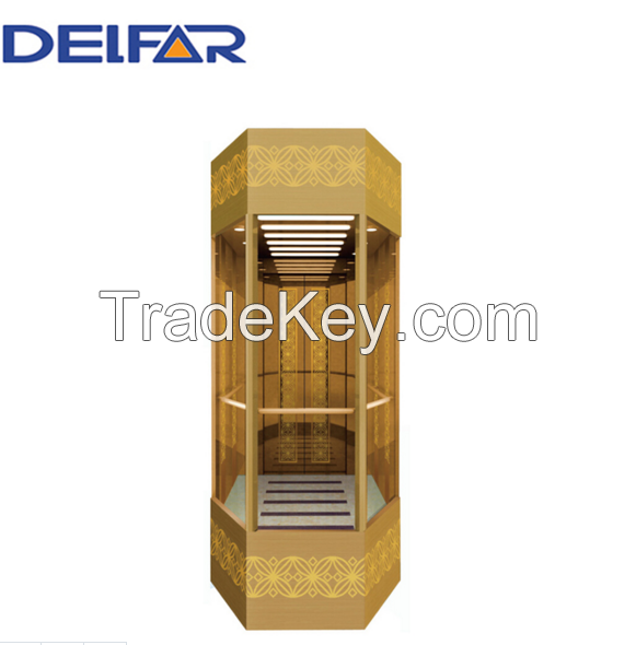 Safe and Comfortable Delfar Sightseeing Elevator with Good Quality