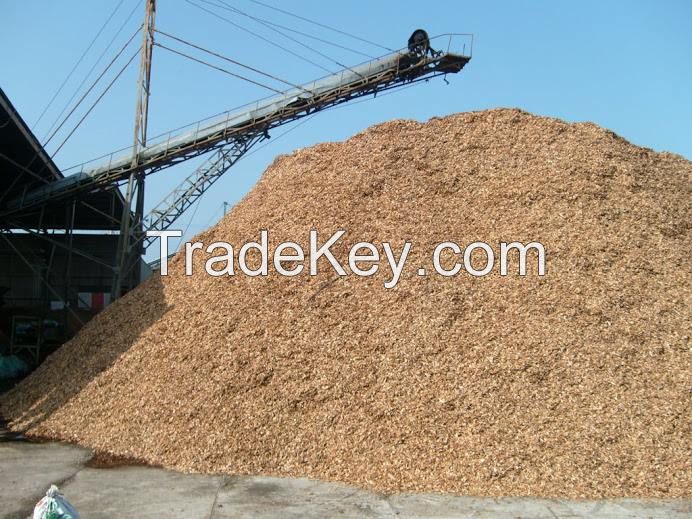 Rubber wood chip