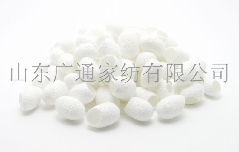The Natural Silkworm Cocoon Facial Cleanser Ball