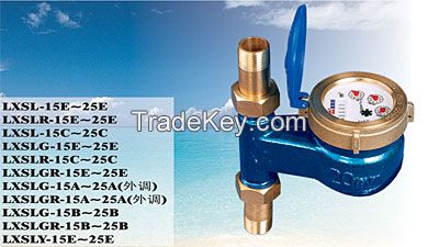 Rotary vane pointer water meter