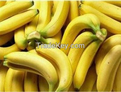 Banan Cavendish