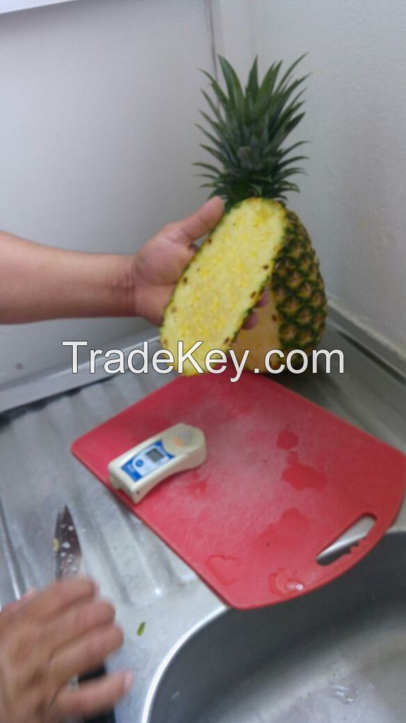 PINEAPPLE MD2