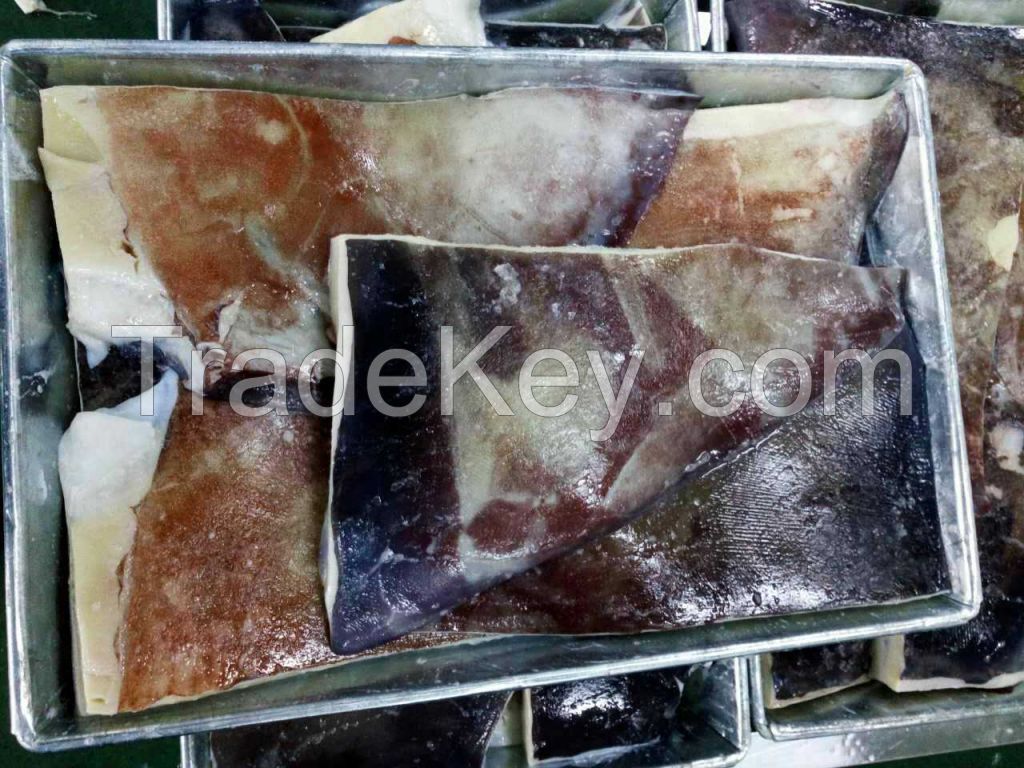 High quality Corss Cut Frozen Giant Squid Wings Dosidicus gigas