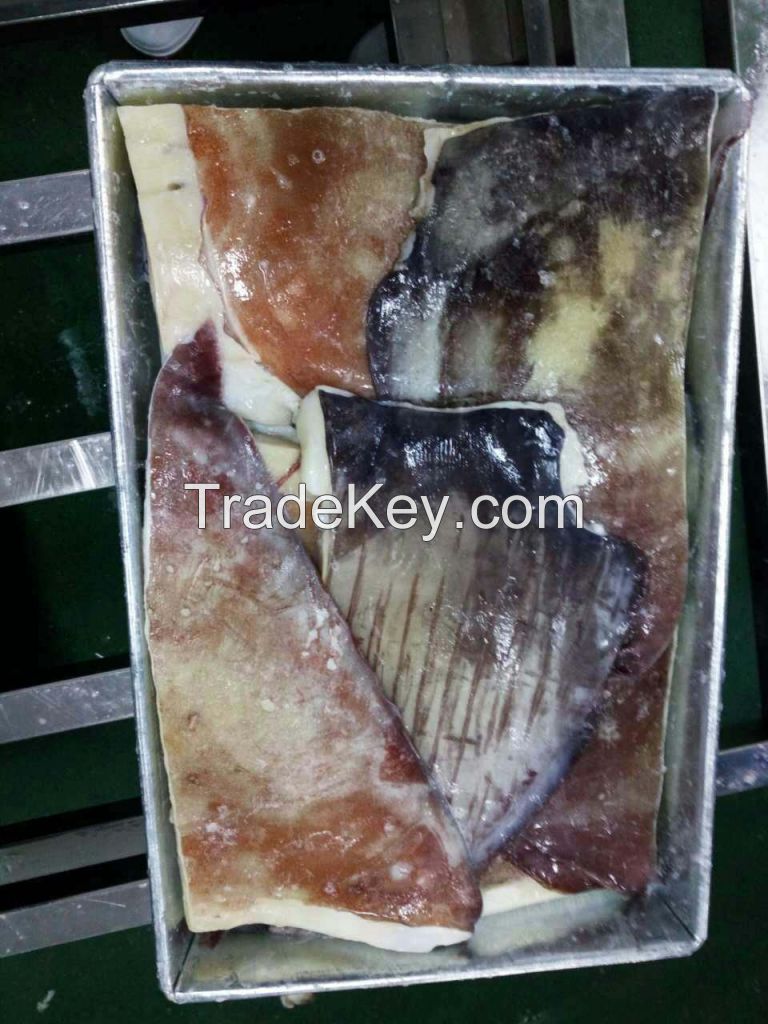 High quality Corss Cut Frozen Giant Squid Wings Dosidicus gigas