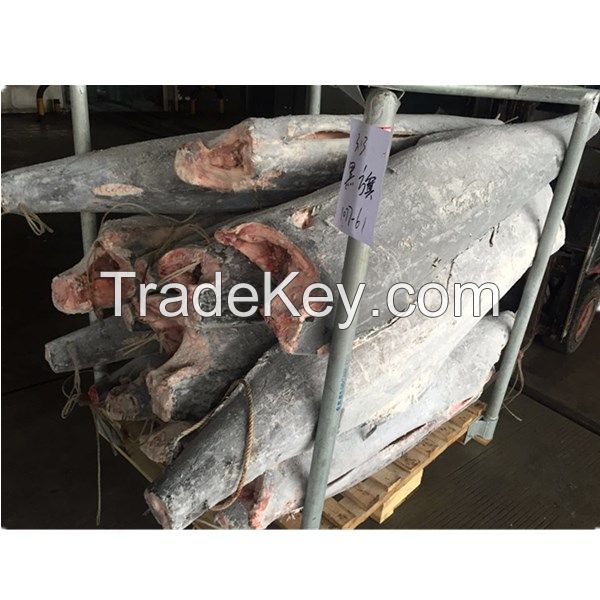 HGT Blue Marlin 30kg up From China