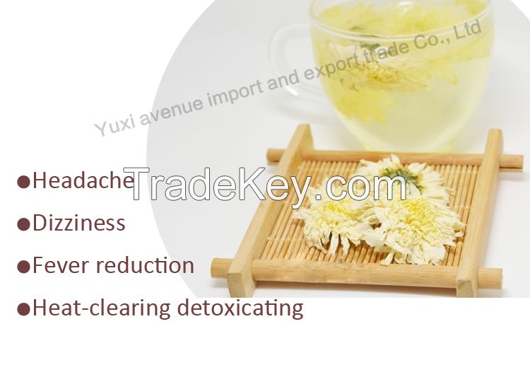 White Chrysanthemum Flower Tea Herbal Organic for Headache, Dizziness,