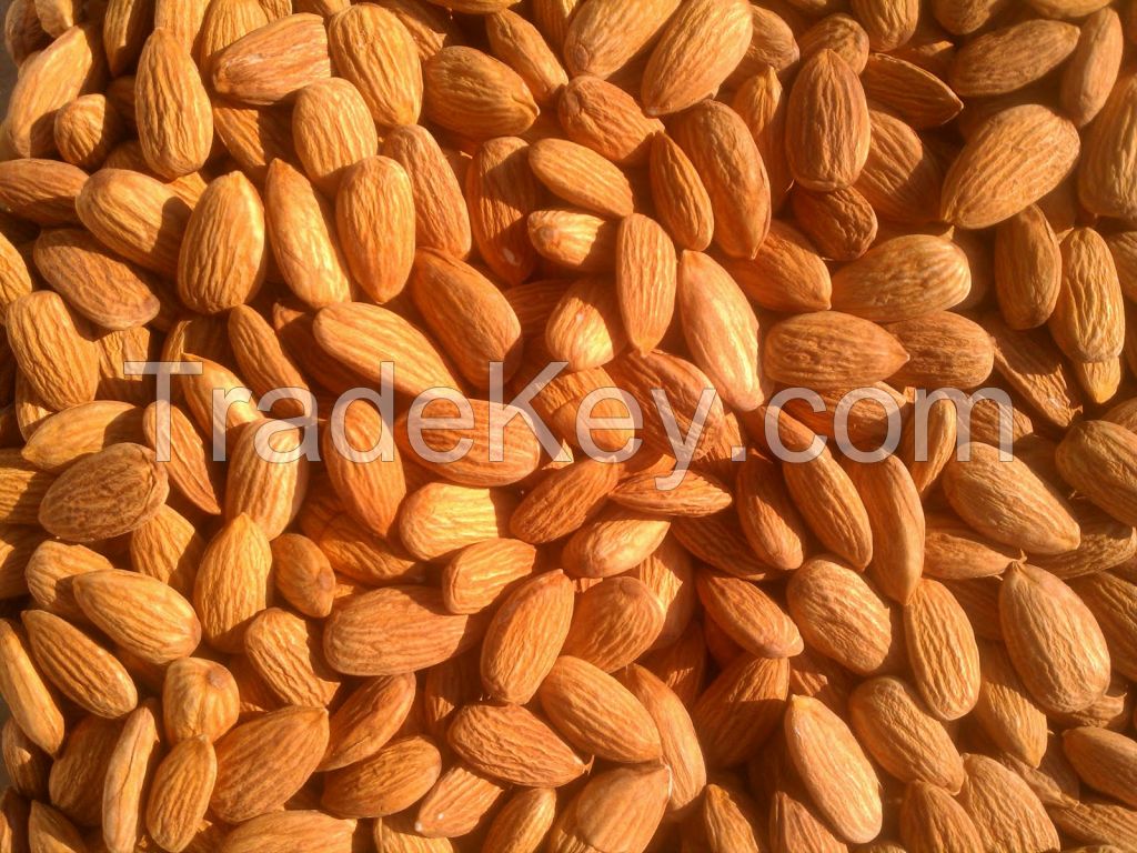 Almonds - Almond Nuts - Ships in Bulk/California Almond Nuts