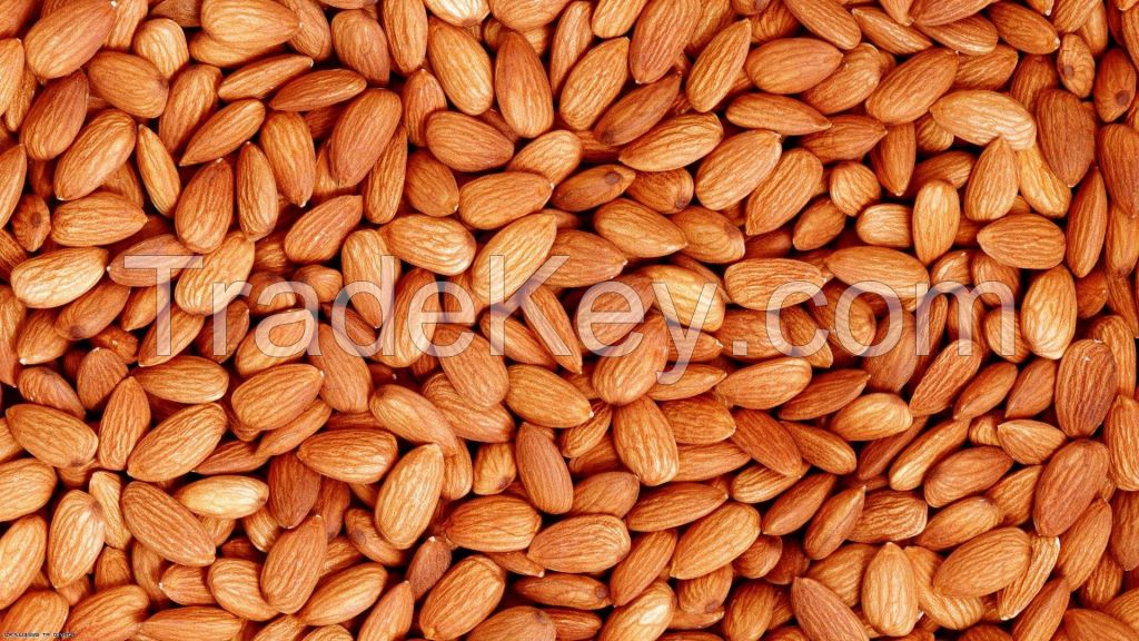 Almonds - Almond Nuts - Ships in Bulk/California Almond Nuts