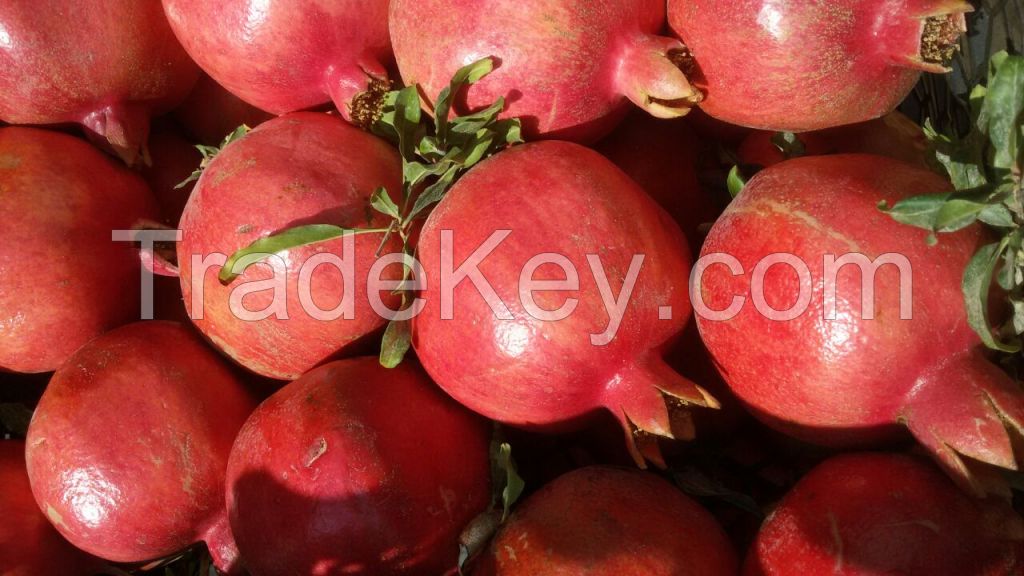 Pomegranate