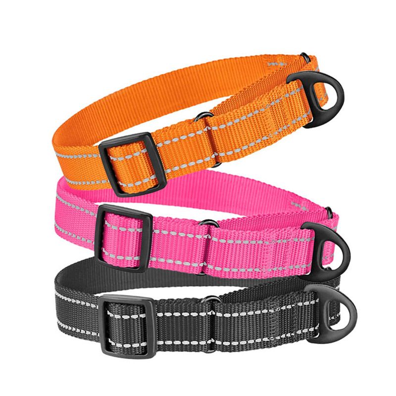 Wholesale Fashion Nylon Pet Dog Collar