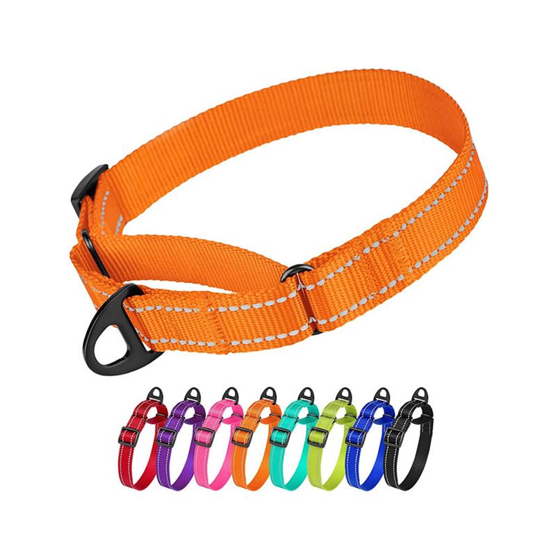 Wholesale Fashion Nylon Pet Dog Collar