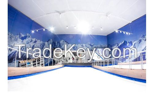 Professional ski simulator Indoor training for winter sports Ski and snowboard on Proleski infinite dry slopes