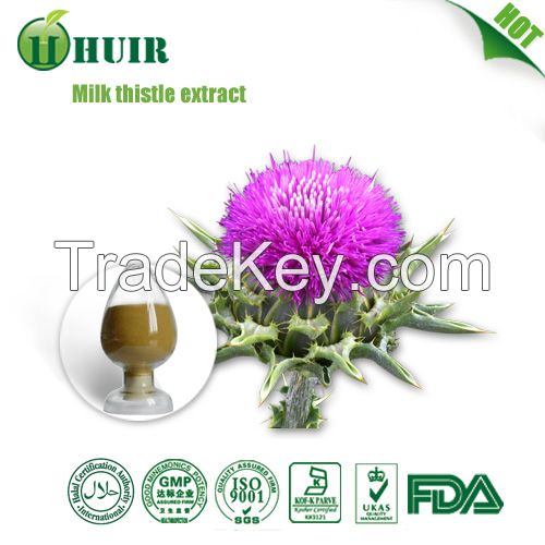 Natural liver protector Milk Thistle Extract silymarin 80%