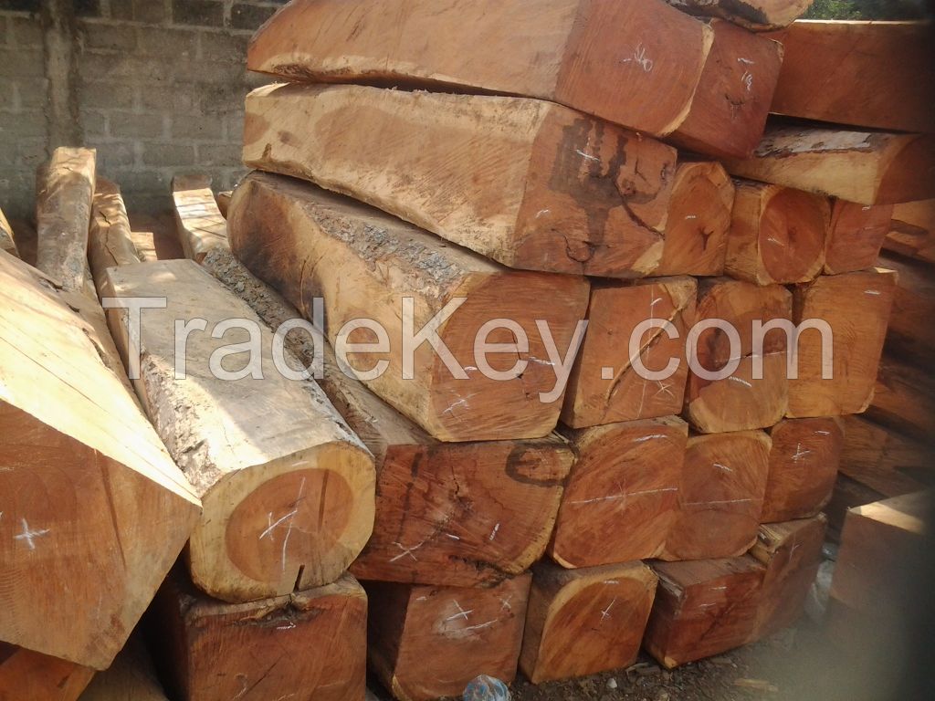 High quality kosso Wood from Nigeria, FOB price 13300$