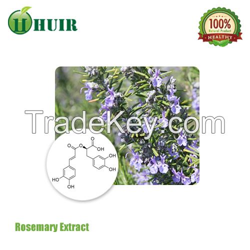Supply oil soluble rosemary extract, oil soluble rosemary extract