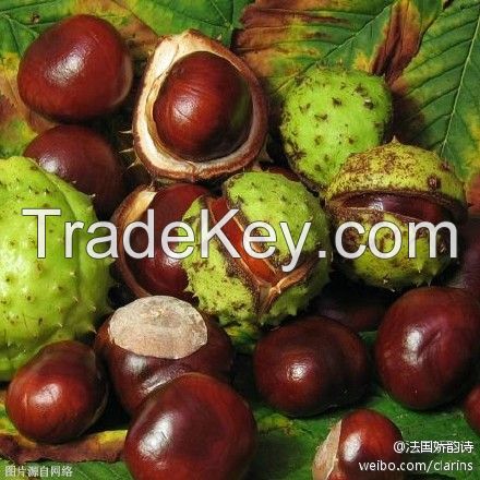 Natural herbal horse chestmut seed extract