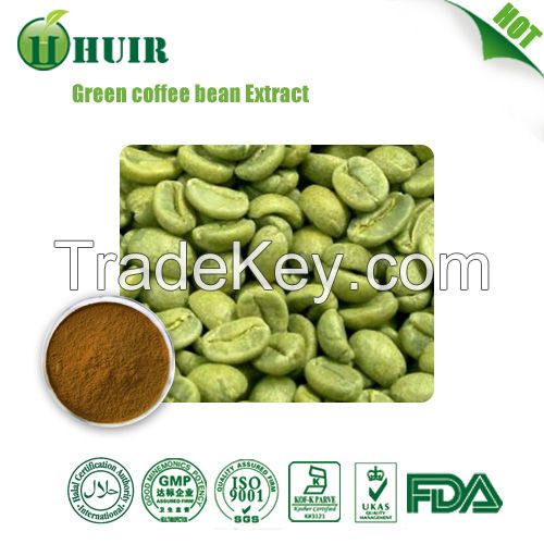 Hot Product:Green Coffee Bean Extract/Chlorogenic acid
