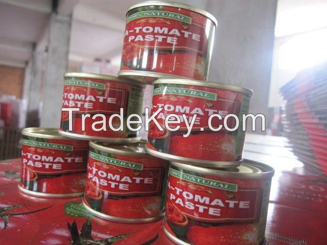 tomato paste