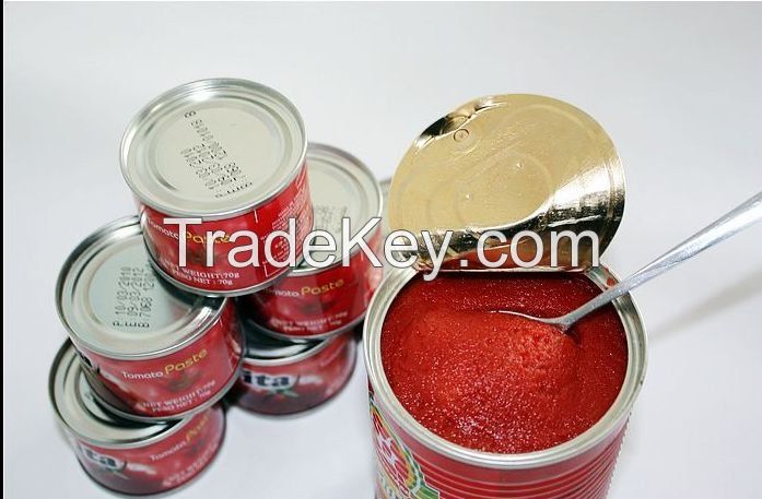 tomato paste